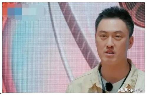 娱乐圈谁最吃瓜排行榜,揭秘谁是瓜王 第3张 娱乐圈谁最吃瓜排行榜,揭秘谁是瓜王 第3张