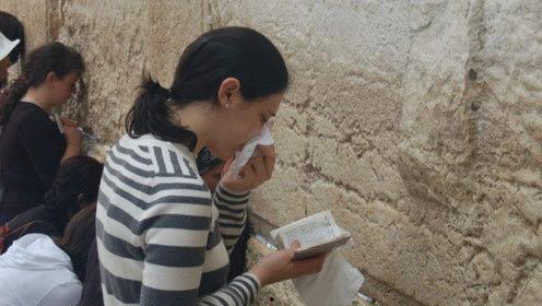 娱乐吃瓜君虐猫,道德底线何在？  第2张