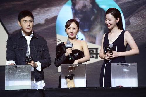 娱乐吃瓜热榜小说,吃瓜热榜背后的秘密故事 第2张 娱乐吃瓜热榜小说,吃瓜热榜背后的秘密故事 第2张