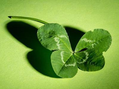 吃瓜四叶草娱乐 第3张 吃瓜四叶草娱乐 第3张